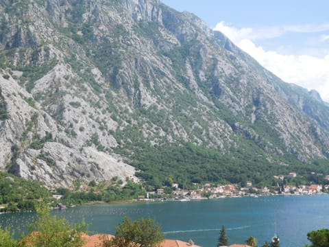 Villa Aronija Bed and Breakfast in Kotor Municipality