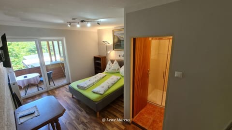 Bed, Balcony/Terrace, Photo of the whole room