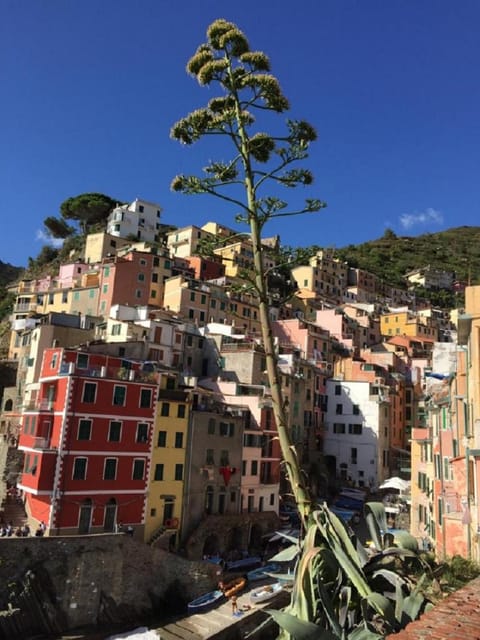 Sergeant First Class Riomaggiore Apartment in Riomaggiore