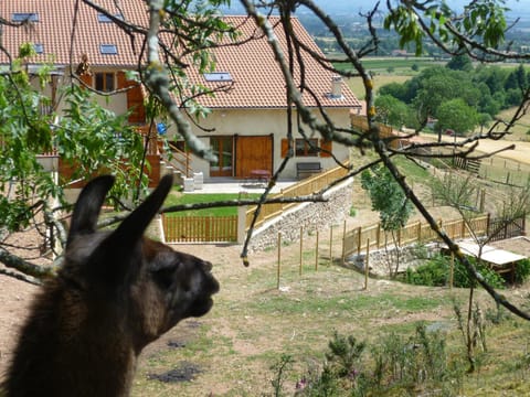 Facade/entrance, View (from property/room)