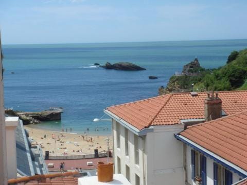 Beach, Area and facilities