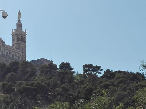 Landmark view