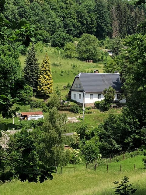 Property building, Neighbourhood, Garden