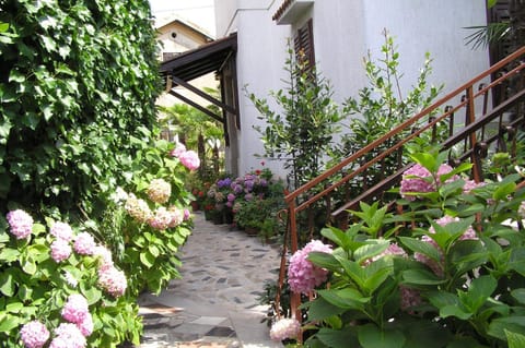 Facade/entrance, Garden, Decorative detail