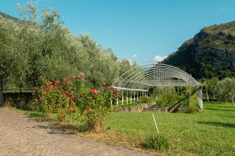 Day, Natural landscape, Garden