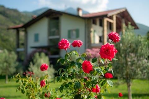 Property building, Spring, Day, Natural landscape, Garden, Garden view