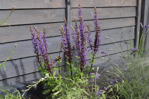 Tranquil Little Hide-Away in Oxford with Private Garden Apartment in Oxford