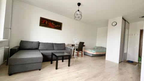 Bed, Living room, Photo of the whole room, Seating area