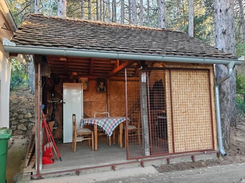 Kuća za odmor "Crni bor" Apartment in Serbia