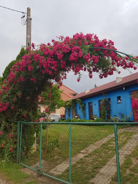 Property building, Spring, Day, Garden, Garden view