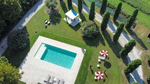 Garden, Garden view, Pool view, Swimming pool, sunbed