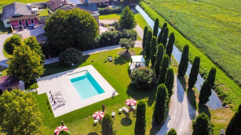 Garden view, Pool view, Swimming pool, sunbed