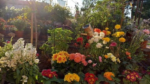 Harmonic Place Loutraki Apartment in Euboea