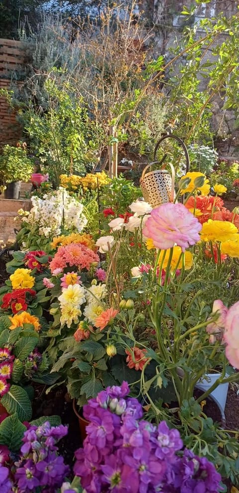 Harmonic Place Loutraki Apartment in Euboea