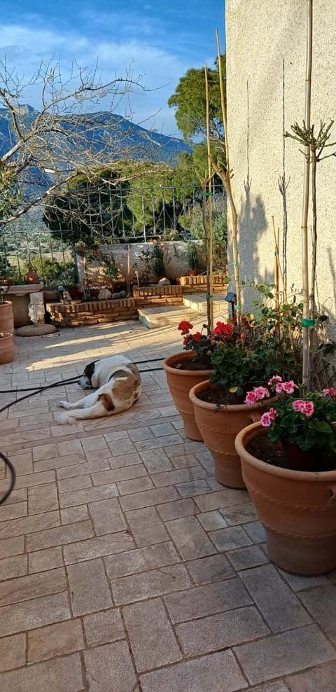 Harmonic Place Loutraki Apartment in Euboea