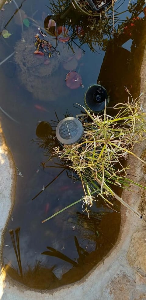 Harmonic Place Loutraki Apartment in Euboea