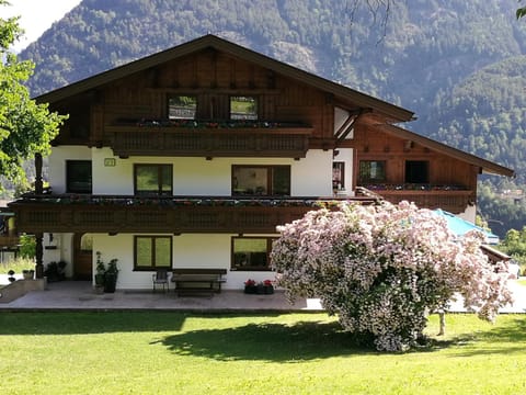 Facade/entrance, Mountain view