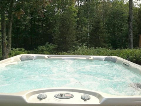 Mink Hollow Lodge House in Capital District, NY, USA