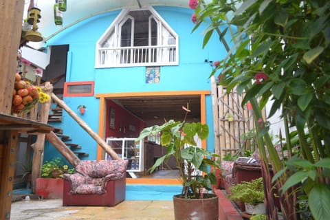 Bird's eye view, Garden view