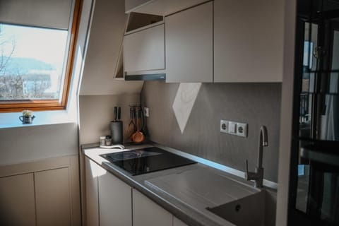 Kitchen or kitchenette, dishwasher, stove