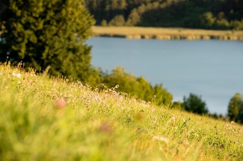 Natural landscape, Lake view