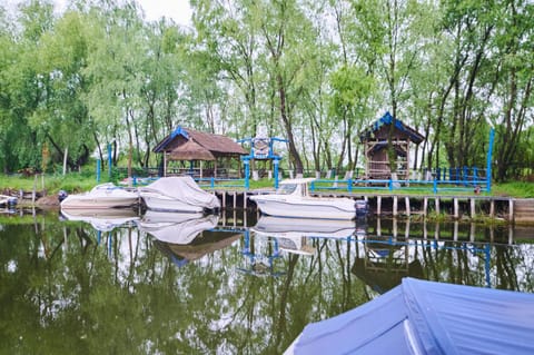 Lake view