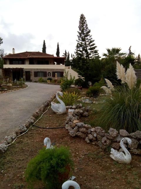 Property building, Garden, Garden view