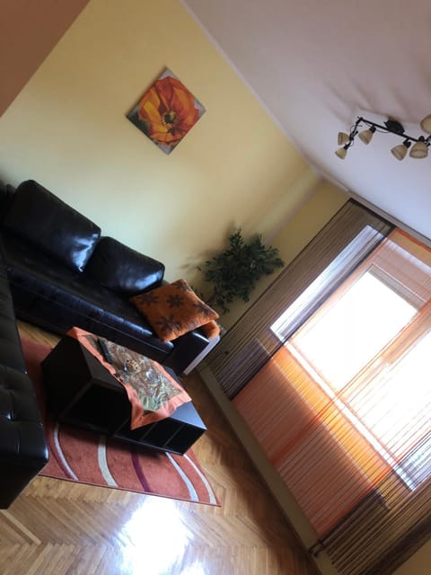 Tanja apartman Apartment in Serbia