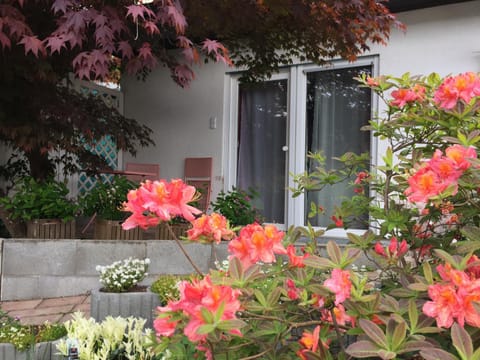 Haus Magnolia 2 Apartment in Baden-Württemberg