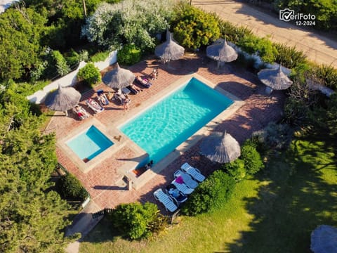 Day, Natural landscape, Garden, Garden view, Pool view, Swimming pool