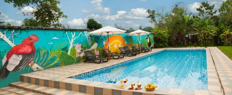 Activities, On site, Swimming pool, Sports, Entertainment