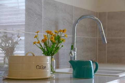 Lloydia Apartment in Porthmadog