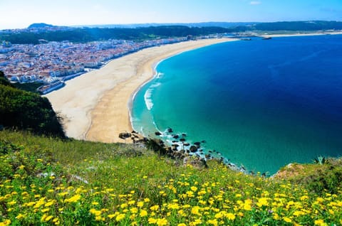 Natural landscape, Beach