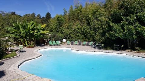 Swimming pool, Swimming pool