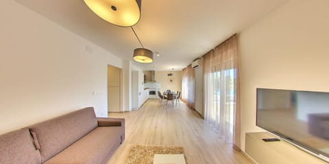 TV and multimedia, Kitchen or kitchenette, Living room, Photo of the whole room, Seating area