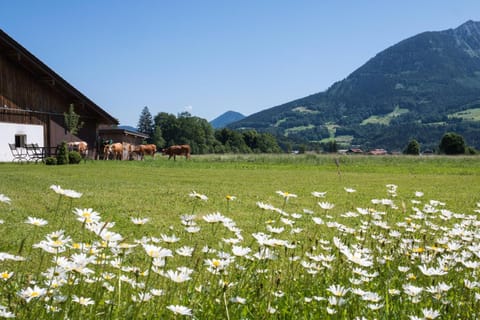 Ferienwohnung Drachllehen Apartment in Schönau am Königssee
