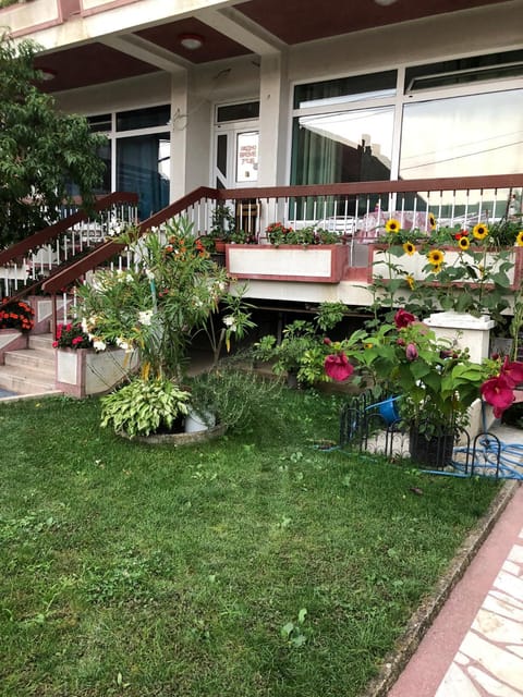 Swiss Hostel Hostel in Serbia