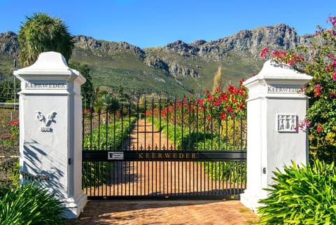 Day, Natural landscape, Summer, On site, Mountain view