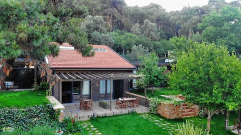 Day, Garden, Garden view