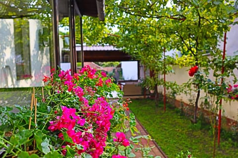 Inner courtyard view
