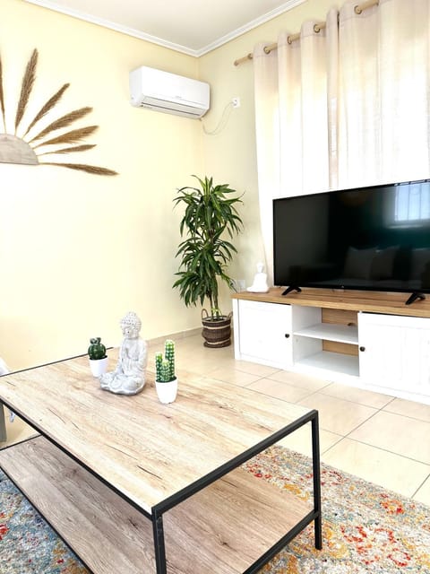 TV and multimedia, air conditioner