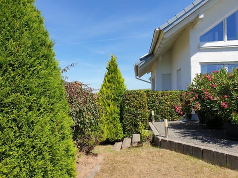 Property building, Garden