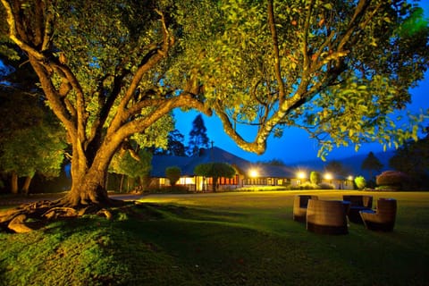 Night, Natural landscape, Garden, Other, Garden view