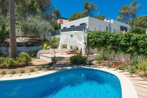 Property building, Swimming pool, Swimming pool