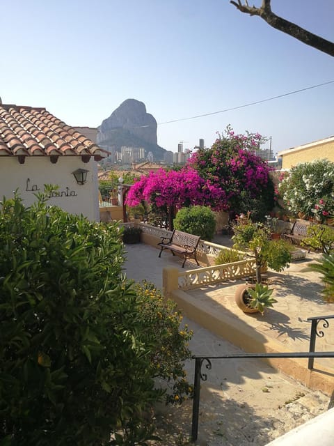 City view, Mountain view