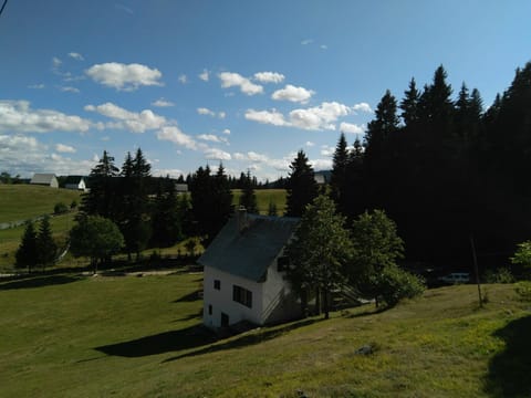Neighbourhood, Garden