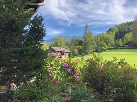 Patio, Natural landscape, Garden view