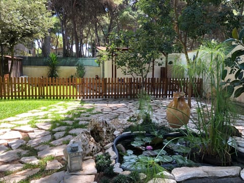 Spring, Day, Garden, Garden view