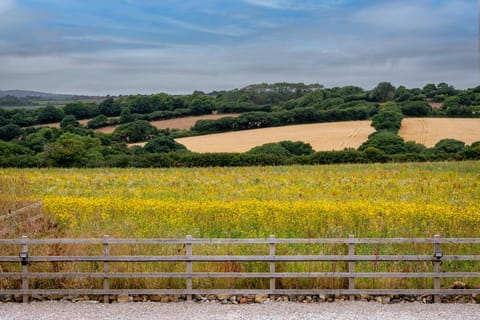 View (from property/room), View (from property/room)
