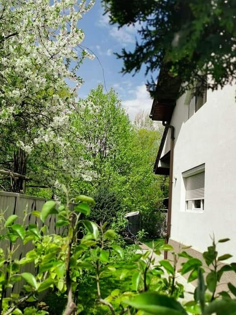 Property building, Facade/entrance, Garden